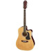 Aria AWN15CEN Semi Acoustic Guitar - Natural