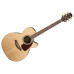 Takamine GN71CE NAT Semi Acoustic Guitar