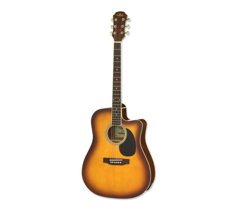 Aria AWN15CETS Semi Acoustic Guitar with EQ - Tobacco Sunburst