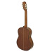 Aria A10N Guitar Full Size Concert Guitar