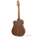 ARIA AD-10 CE 10 SERIES GREEN LABEL GUITAR