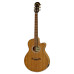 Aria FET-M1 Electro Acoustic Guitar - Natural
