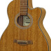 Aria FET-M1 Electro Acoustic Guitar - Natural