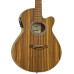 ARIA FET-T1 N  ELECTRO ACOUSTIC GUITAR - NATURAL