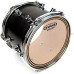 Evans Drum Heads - EC2S Clear Rock Pack (10", 12", 16") with 14" HD Dry Snare Batter
