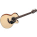 Takamine GX18CENS Acoustic Electric Guitar