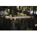 Vic Firth American Classic Terra Series Drumstick Pair (5AT)